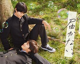 未择之路封面图